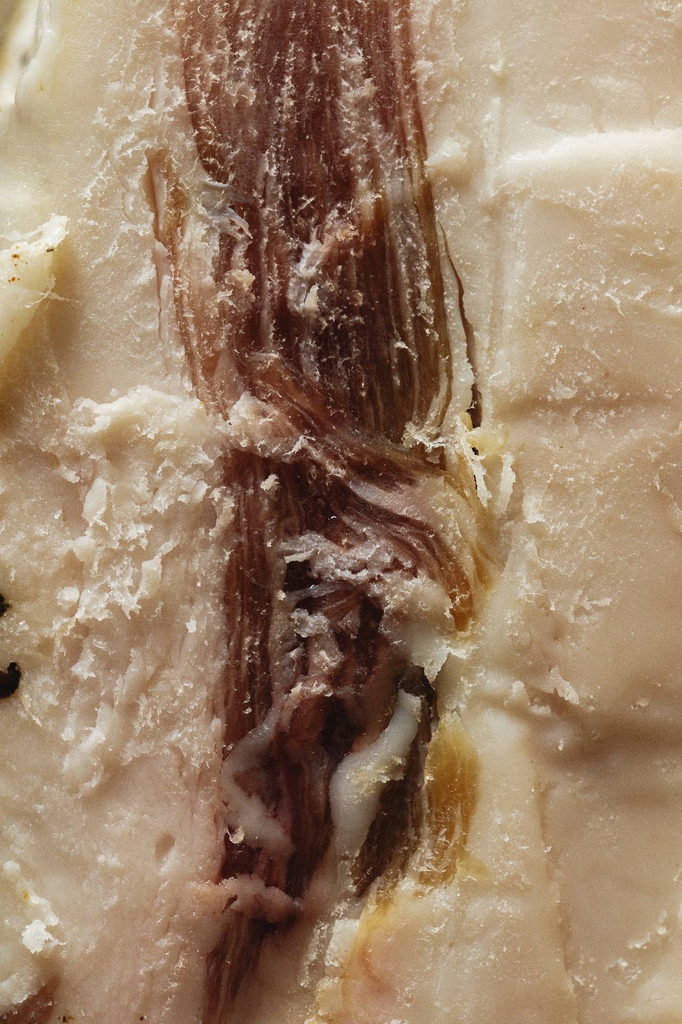 Assonica Menu - Menu
